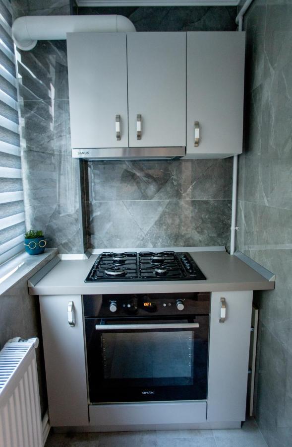 Loghin Residence سوتْشافا المظهر الخارجي الصورة