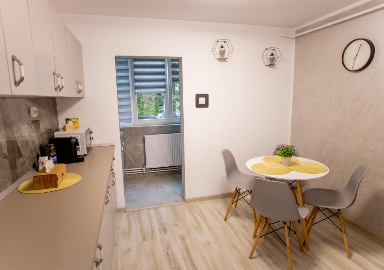Loghin Residence سوتْشافا المظهر الخارجي الصورة